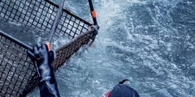 08:15: La fiebre del oro: aguas bravas: Apagón | Discovery | 2/16 2026