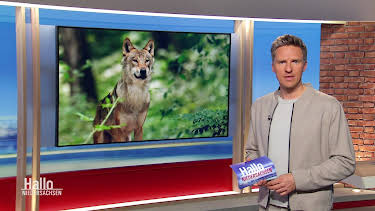 12:00: Hallo Niedersachsen | Radio Bremen | 3/28 2026