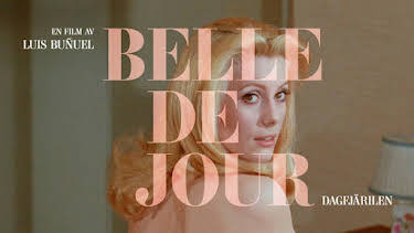 22:05: Belle de jour - dagfjärilen | SVT2 | 4/25 2026