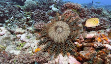 Oasen - Inseln des Lebens