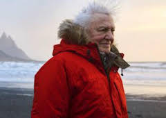 Un planeta perfecto: El Sol