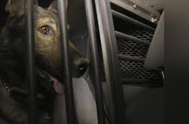 Law on the Border Season 1: Smuggler's Playbook