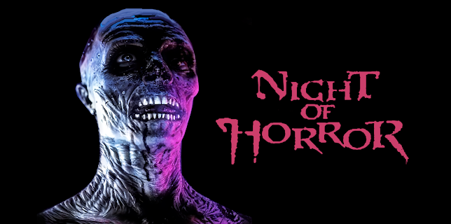 Night of Horror (1981)