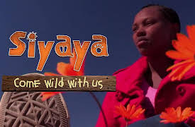 Siyaya – Come Wild With Us: The Flowering Desert