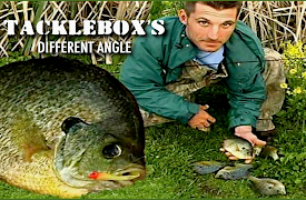 Tacklebox's Different Angle: Byng Inlet - Northern Pike