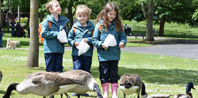 12:20 PM: Ranger Hamza's Eco Quest (S1) | Cbeebies | 2/14 2026