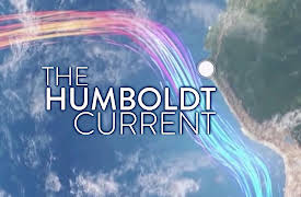 The Humboldt Current: Renewal