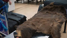 Border Patrol New Zealand