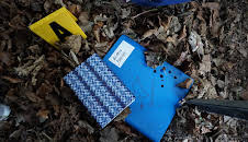 The Lake Erie Murders (S1 E4)