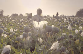 The Crime of the Century: Episode 1