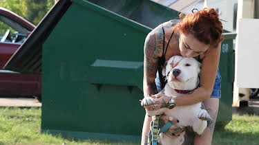 15:00: Pit Bulls & Parolees (S8 E15) (S8) | Animal Planet | 9/19 2026