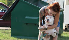 Pit Bulls & Parolees (S8 E15)