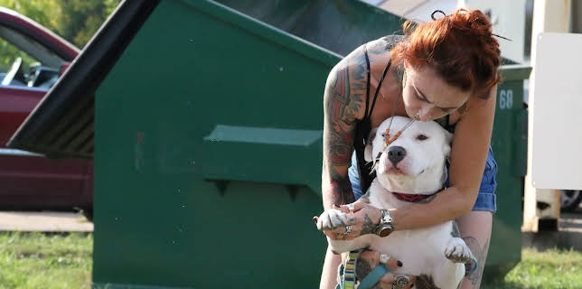 15:00: Pit Bulls & Parolees (S8 E15) (S8) | Animal Planet | 1/10 2026