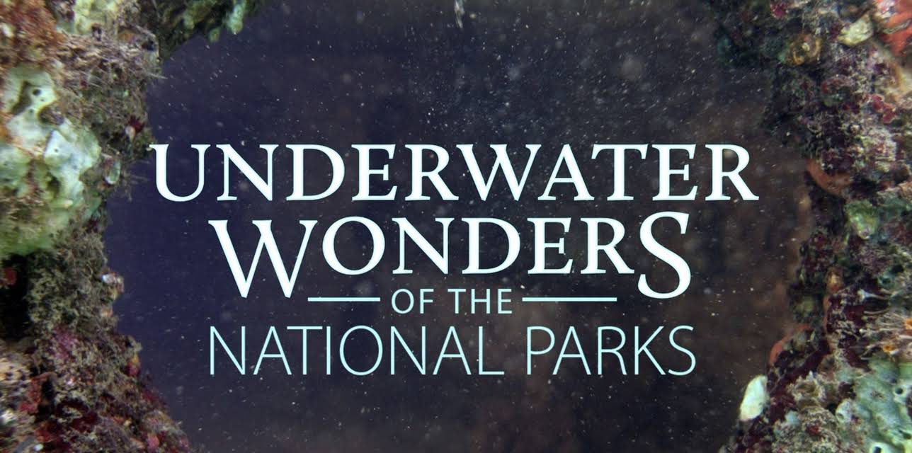 Underwater Wonders Of The National Parks
