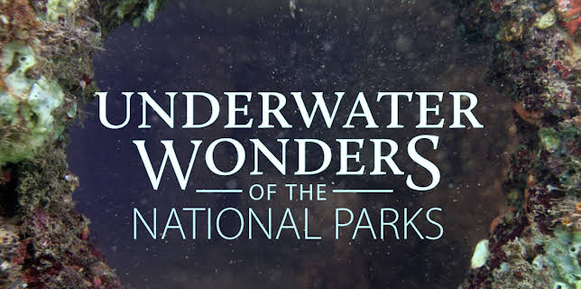 Underwater Wonders Of The National Parks