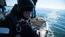 Gold Divers