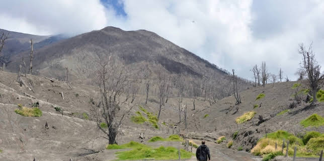 Im Land der Feuerberge