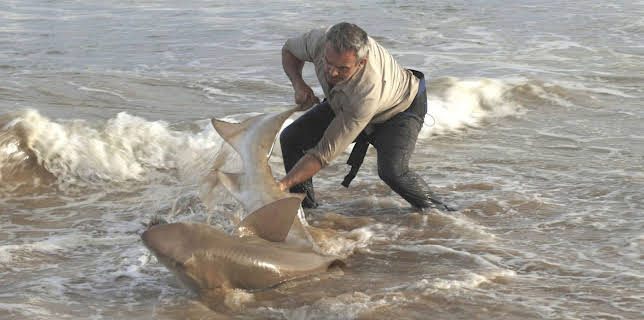 15:45: Giganten unter Wasser - Riesenfischen auf der Spur | Kabel Eins Doku | 2/13 2026