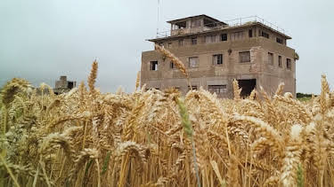 1:00 AM: Abandoned Engineering (S8 E4) (S8) | Yesterday | 2/17 2026