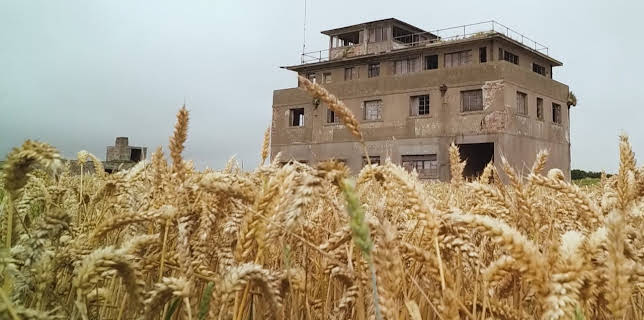 12:00 AM: Abandoned Engineering (S8 E4) (S8) | Yesterday | 2/17 2026