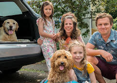 Waffle the Wonder Dog