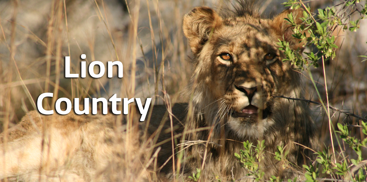 Lion Country