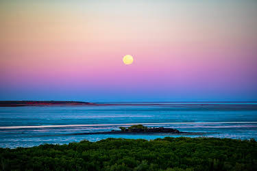15:05: Anthropozän - Das Zeitalter des Menschen | ZDFneo | 3/28 2026