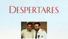 Despertares