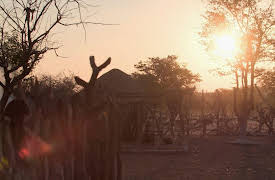 The Tribe Next Door: Episode 3