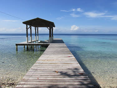 09:40: Husjakt i Karibia (S10 E2) (S10) | VOX | 4/15 2026