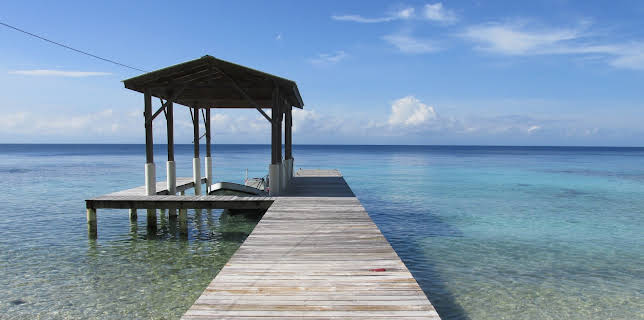 09:50: Husjakt i Karibia (S5 E1) (S5) | VOX | 11/20 2025