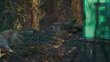 11:00 PM: Northwoods Survival | Nat Geo Wild | 12/30 2025