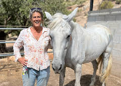 A New Life in the Sun