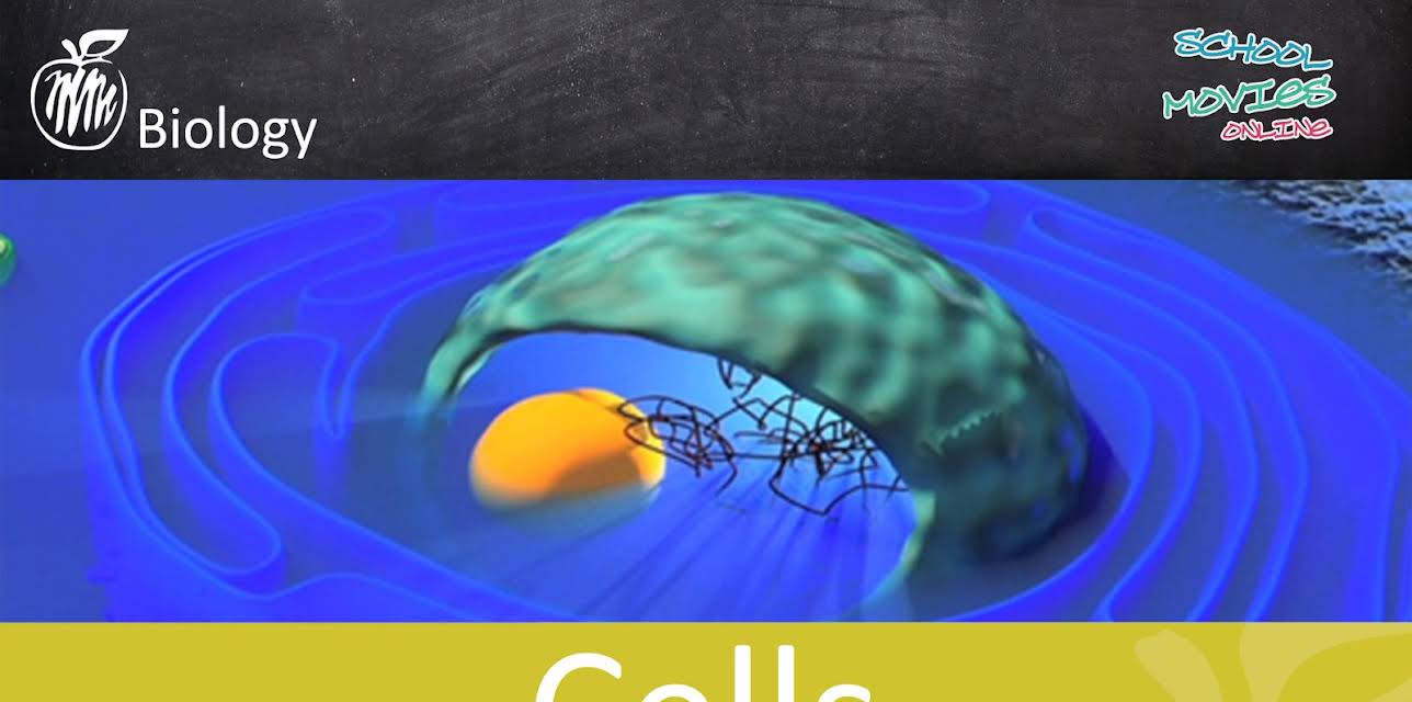 Cells - School Movie on Biology