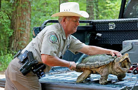 Lone Star Law Season 1: Game On