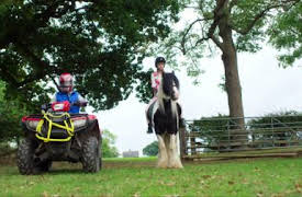 Free Rein: Hästtjuvshjälten