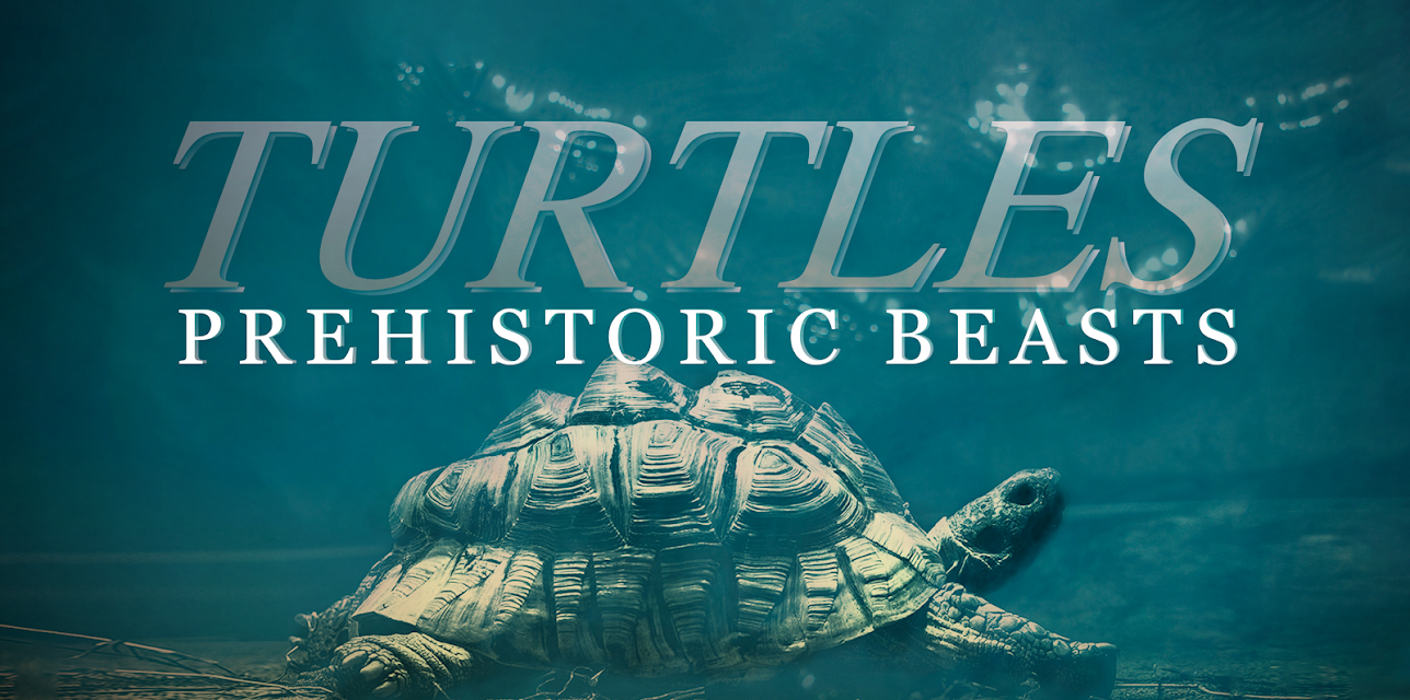 Turtles: Prehistoric Beasts (2015)