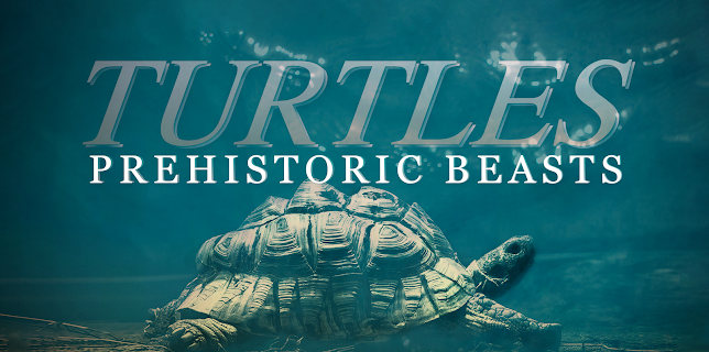 Turtles: Prehistoric Beasts (2015)
