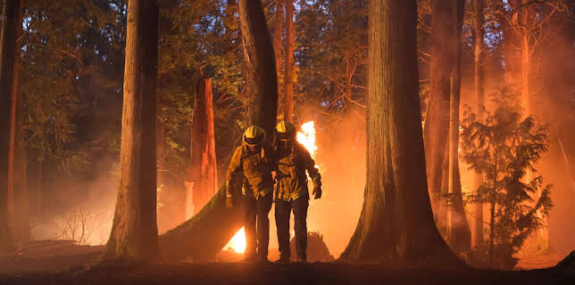 01:05: Fire Country (S1 E1) (S1) | Viasat Series | 2/27 2026