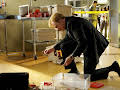 CSI: Miami
