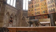 St. Stephan und die Tiere