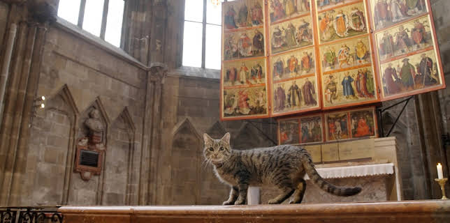 13:35: St. Stephan und die Tiere | 3SAT | 12/12 2025