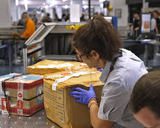 Border Patrol Australia