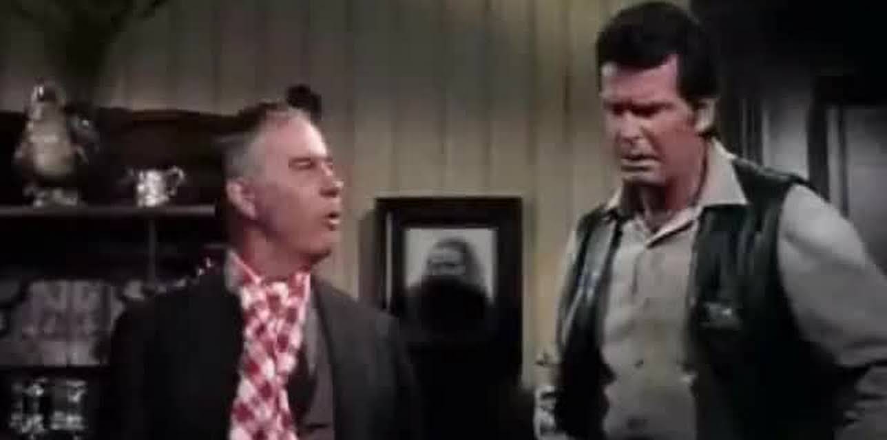 Support Your Local Sheriff (1969)