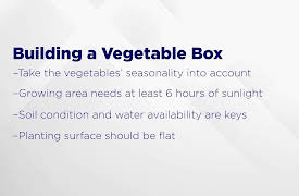 Fundamentals of Home Maintenance: From Repairs to Renovations: Building a Vegetable Box