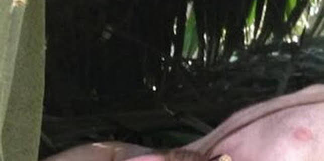 08:36: Aventura en pelotas: Todo se derrumba | Discovery Max | 12/9 2025