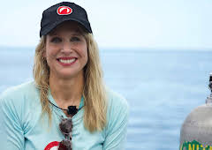 SHARK! Celebrity Infested Waters