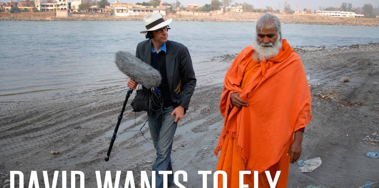 David Wants To Fly (2010)