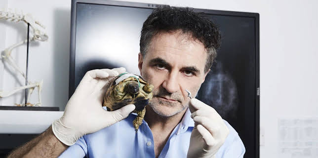 19:15: Der Super-Doc - Einsatz für 4 Pfoten | Sixx | 1/25 2026