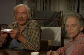 The Waltons: The Complete First Season: The Literary Man